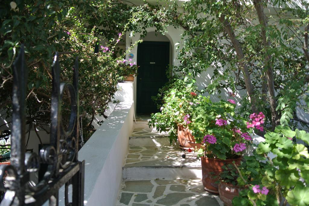 Meltemi Batsi Exterior foto